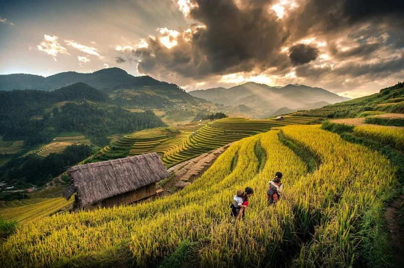 3-Day Sapa Trekking Tour: Y Linh Ho, Lao Chai, Ta Van, Ban Ho, Nam Tong, Thanh Phu & My Son
